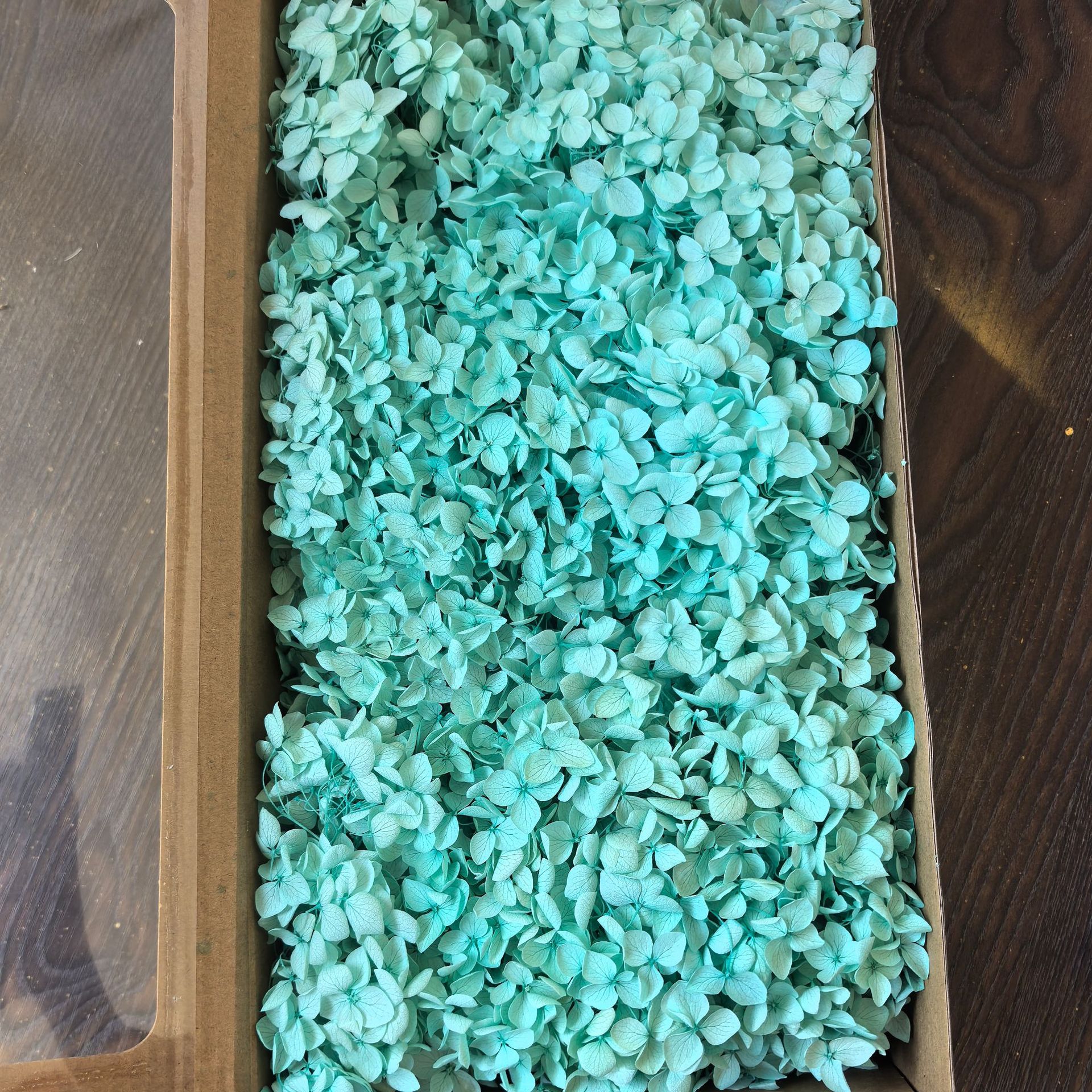 Flor eterna Hortensia Anna pequeña hoja flor seca flor real árbol de Navidad ventilador hecho a mano ramo DIY material paquete flor
