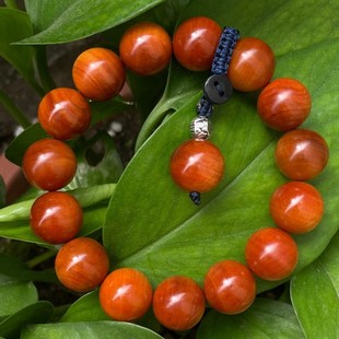 ���l̫���°���Ȼ����1.5�ִ������Ůͨ��ľ�|��ˇƷ�������l