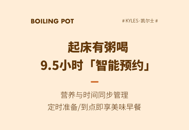 智能长柄电煮锅_13.jpg
