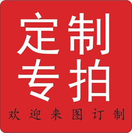 胸针;钥匙扣