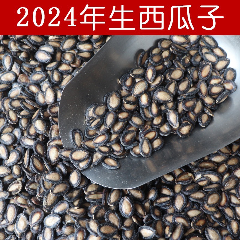 生西瓜子新货年黑瓜子大板打瓜子炒货小片大片瓜籽散装批发
