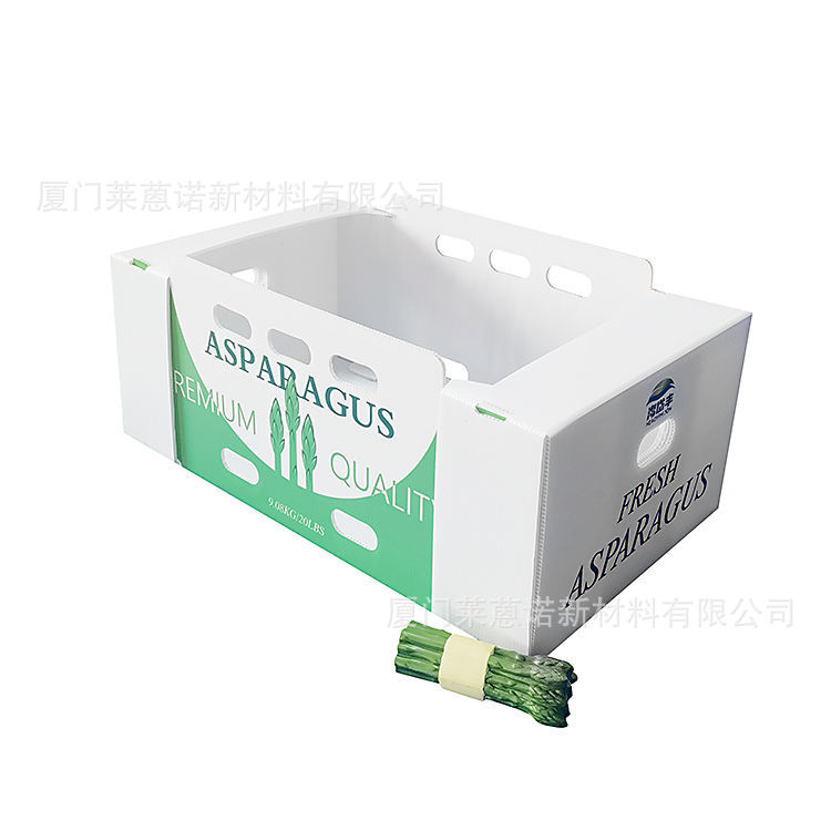 Caja de frutas y verduras de placa hueca pp personalizada plegable impermeable frutas y verduras frescas de transporte de cadena de frío Caja de plástico de calcio image 36