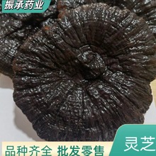 LɽeɽԴ^؛Դ`֥֥֥ƬwRȫNҎaș