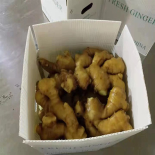 ���r�Ͻ����ڼ��ּ����������b�羳���lһ�����l