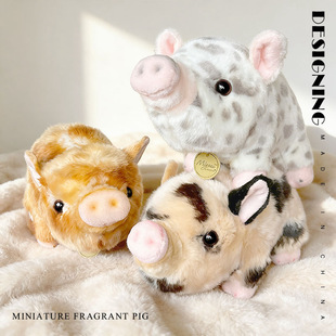 ��R������С���i�й���ë�q��߻����i�ɐ���ż���\�i����