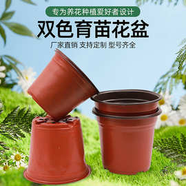 双色花盆多肉种植育苗园林软塑pe加厚营养杯营养钵一次性种植花盆