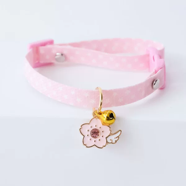 Cherry blossoms