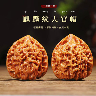 Ұ��С�������Ӹߒ�������Ҿ��������Ǵ��ñ�P������y��������