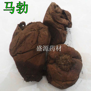 ��ș���R�� �Ұ� �R�S�� �Rƨ�� ţʺ�� �Rƨ�� �Rƨ�����^���ؾ�