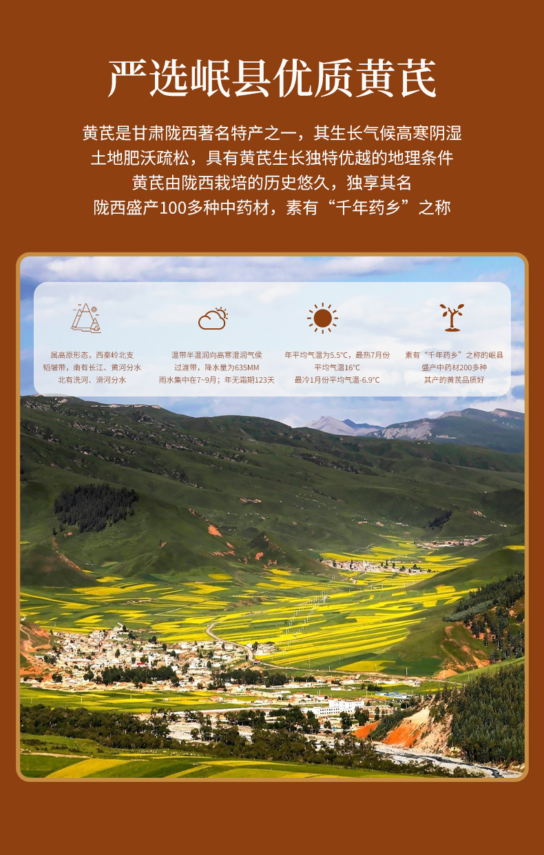 黄芪_05.jpg