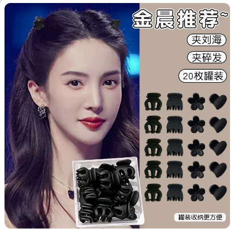 Black Mini Hair Clip, Small Princess Hairpin, Female Forehead Fringe Hairpin, Side Hair Clip, Hair Accessory