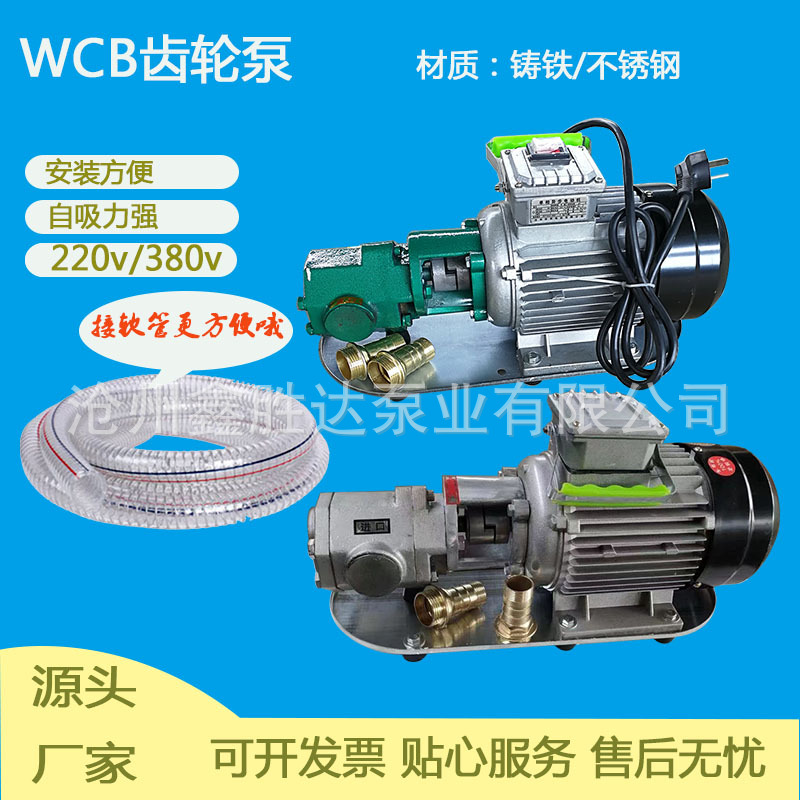 WCB-100/75/50不锈钢手提式齿轮泵生产厂家220V/380V电压铸铁手提