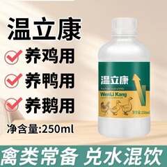 温立康鶏、アヒル、ガチョウ、家禽、ハト、眠そうな精神、だるい精神、羽が緩い、だるい精神、家禽用の準備