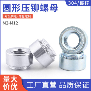 ���Sֱ����\���T��ĸ������A��ñ304���P䓉�����ĸM2-M12