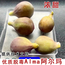 �S�a�S�o�����ǰ����ϱ����o�����������ԷNֲ���Ԯ���Y��������