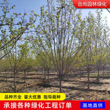 ���R������煲�����R���㻨���~��ľ�����L����౩�R�������