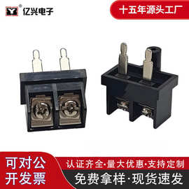 汽车功放端子 音响接线柱拉杆箱电源座斜面 2P 直脚