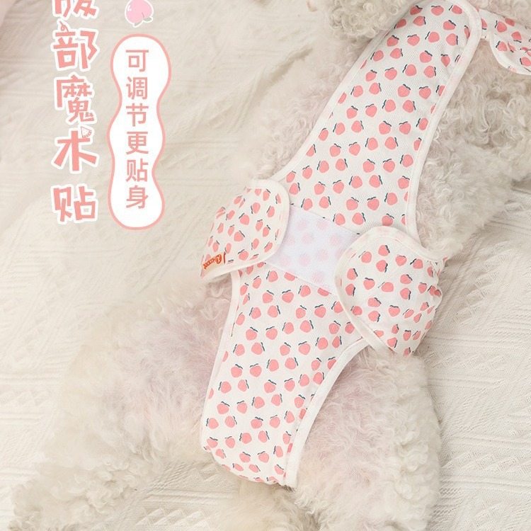 Perro pantalones fisiológicos mascota perro hembra oso pantalones de seguridad shengbo peluche hembra perro pequeño menstrual artefacto tía Pantalones