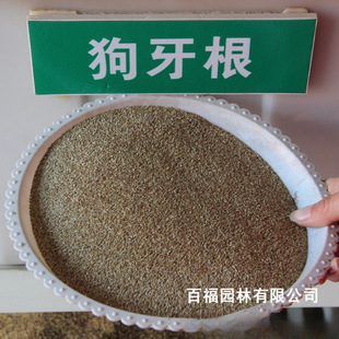 ���l�G����ƺ�ݷN ��������Ľ�����òݲ��� ���`̤ͥԺ���^����