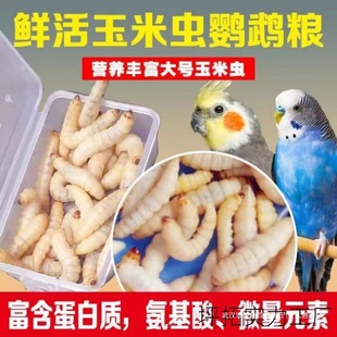 ��D�x�Ӵ��x���x�����x���x�ڼZ�BС�x�������x�����B�~�DϞ��