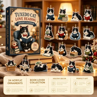 跨境热销Advent calendar猫咪阅读主题降临日历盲盒