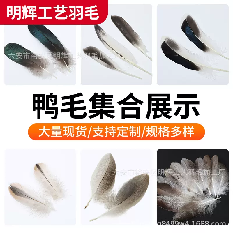 厂家批发鸭毛diy饰品配件手工头饰羽毛胸花帽子工艺品天然色羽毛