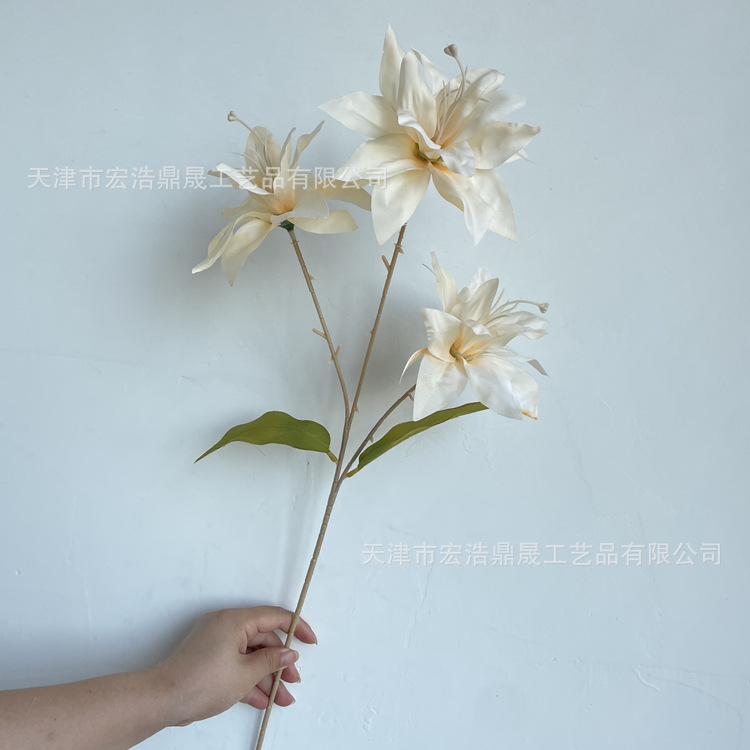 微信图片_202208111655474_副本