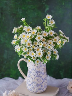 ����S��朡����������r����ɫ����ջ����l �ӼҲ廨�r�л�