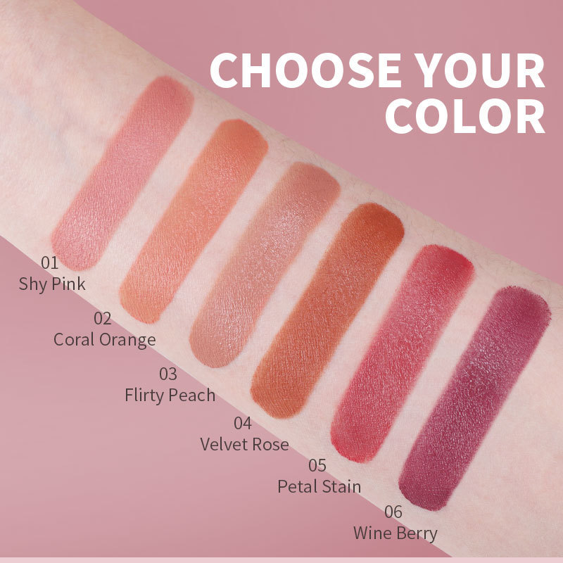 RVN Mist Face Blush multifuncional mate vigor desnudo maquillaje natural baja saturación maquillaje de belleza transfronteriza