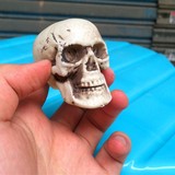 Маленький пластиковый череп, xэллоуин, 5см