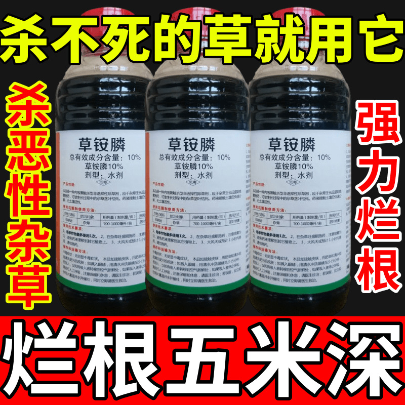 杀不死的草就用它草安草铵磷草胺磷除牛筋草小飞蓬农药强力除草剂