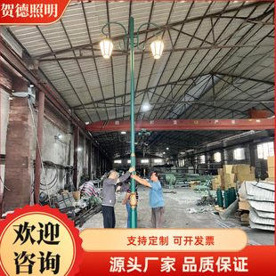 European Style Street Lights European Style Garden Lights Non-Standard Customized Street Lights Landscape Lights Lawn Lights Green Gold European Style Lamp Manufacturers