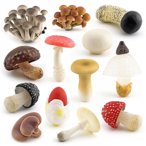 Simulation mini plant shiitake mushroom and oyster mushroom fungus set early education plant static ornament cognitive model set