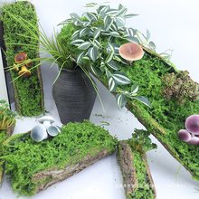 新品青苔树皮装饰摆件创意多肉苔藓植物幼儿园造景布景森系