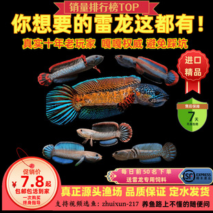 �M�����R����С�������^�p�~�Ꭷ���~Ѫ���̲���w�����~