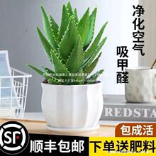 �J�C�����҃ȳ���ȩ�����՚�ֲ���k���������ƶ����ļ����B����