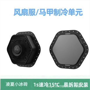Lingxia Lanestar Tec Parchel Semiconductor Refrigeration Chip Package Module Temperature Control Portable Homemade