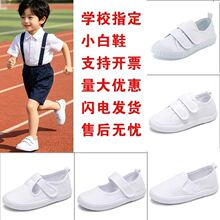 春夏新款室内防滑表演鞋幼儿园童鞋舞蹈白色球鞋儿童小白鞋帆代发