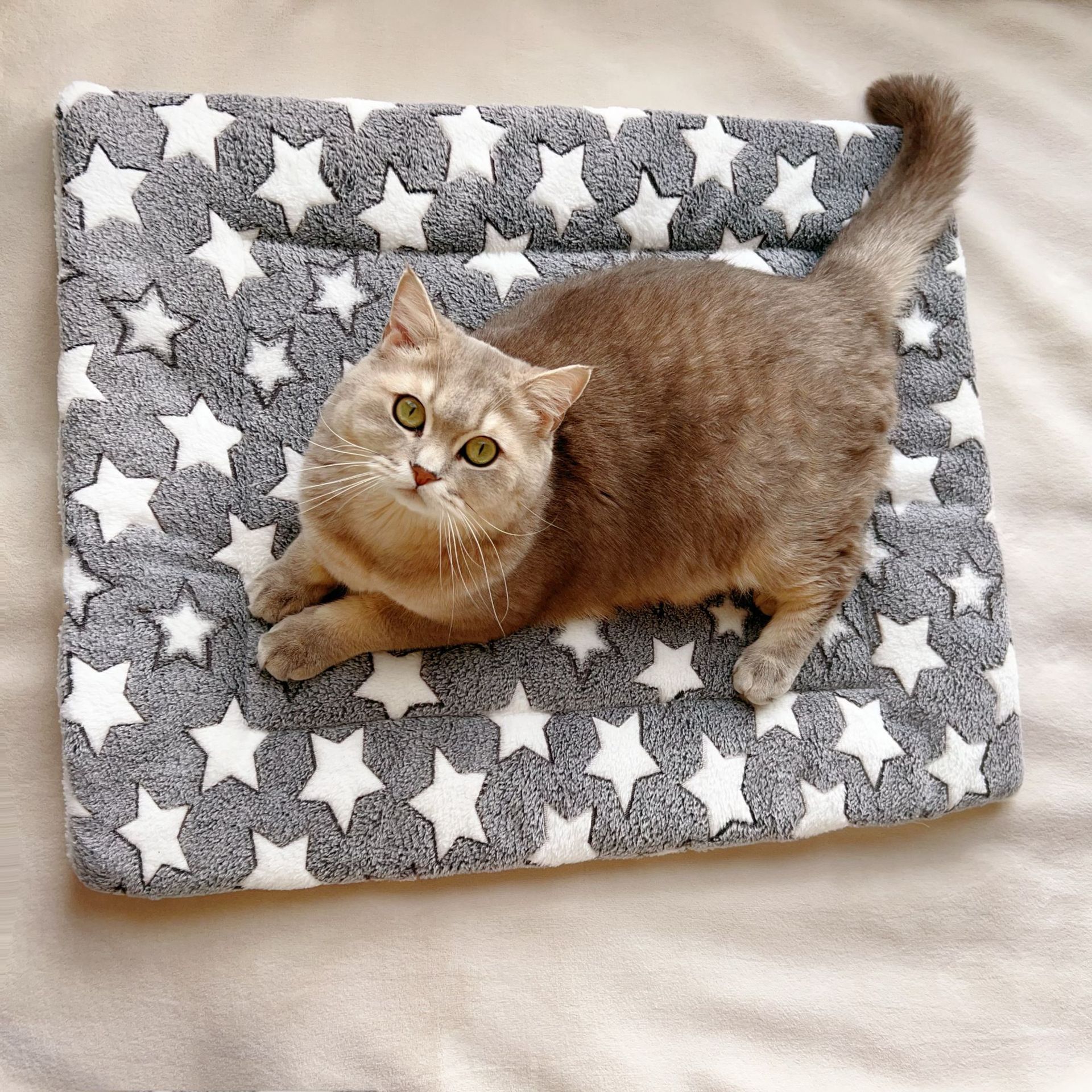 Cojín transfronterizo para mascotas, tapete de franela gruesa, tapete de gato de felpa suave, tapete de invierno para perrera al por mayor