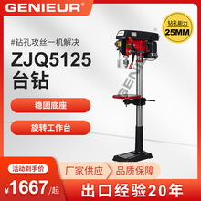 750Wľ�Ľ���荿�25mm���I���๦�ܳ���̨�