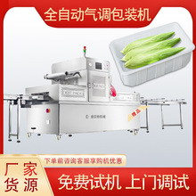 ȫ�Ԅ��B�mʽ���b�|���rʳ���ך��{���b�C ȫ�ԄӚ��{���b��