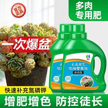 多肉营养液肥家用盆栽植物增色土培浓缩通用型花卉肥料促生根