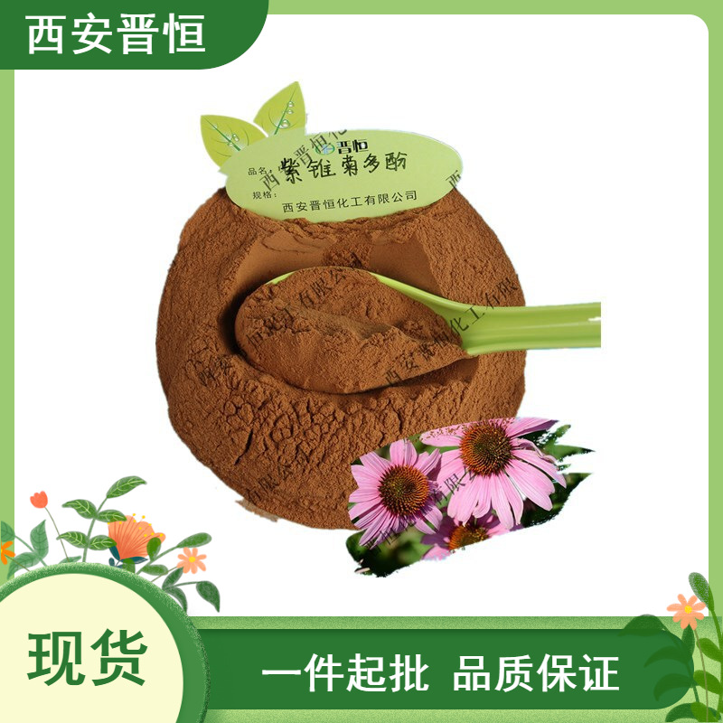 紫锥菊多酚 4% 紫锥菊提取物  紫松果菊提取物1KG起订现货