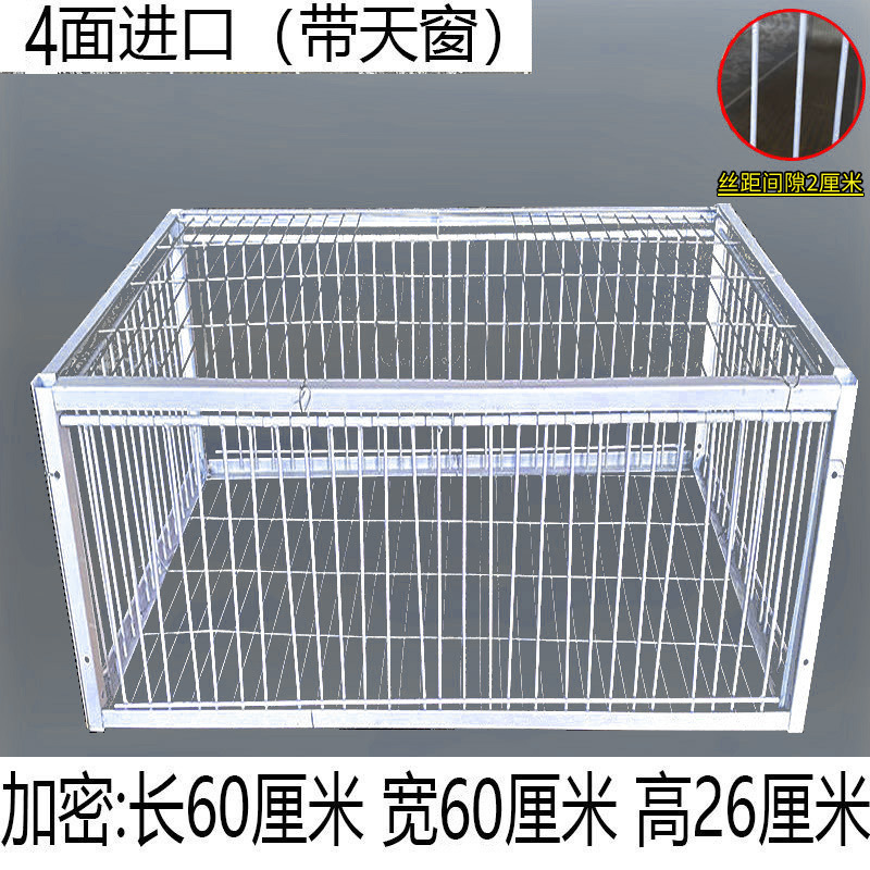 只进不出鸟笼全自动天落笼子撞门户外抓收鸽子捕加密可连续用|undefined
