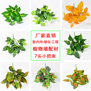 7�^�G�}�����ع�׃ɫľ�f�����z�~ ����Gֲ���b�ܛ�b����ֲ�