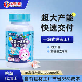 源头厂家批发蓝莓叶黄素酯果汁软糖OEM贴牌定制代加工抖音爆款