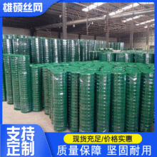 定制圈地养鸡养鸭荷兰网 鱼塘养殖防护铁丝网 果园围挡铁丝网批发