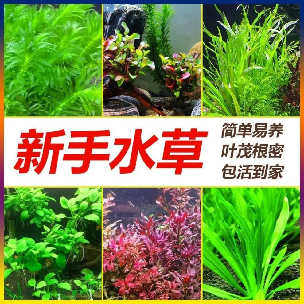 92c5e1ac-e4e3-434f-a3ac-573def93bdba.jpe