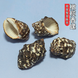 ��Ȼ����ؐ���ϙ����ݾ�з��Q��ˮ���쾰�ҾӔ[���ֹ�DIY