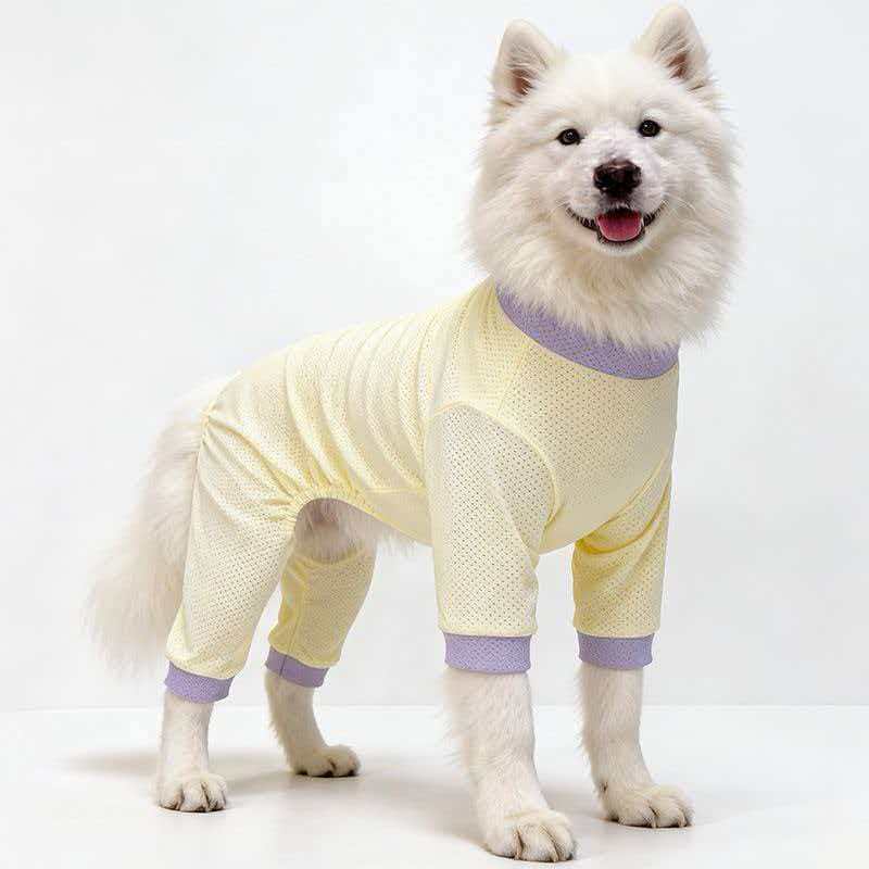 Ropa transpirable de malla para perros de cuatro patas, para perros medianos y grandes, samoyedos, protección solar de verano para perros y mascotas._voghion.com